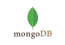 mobile Development5